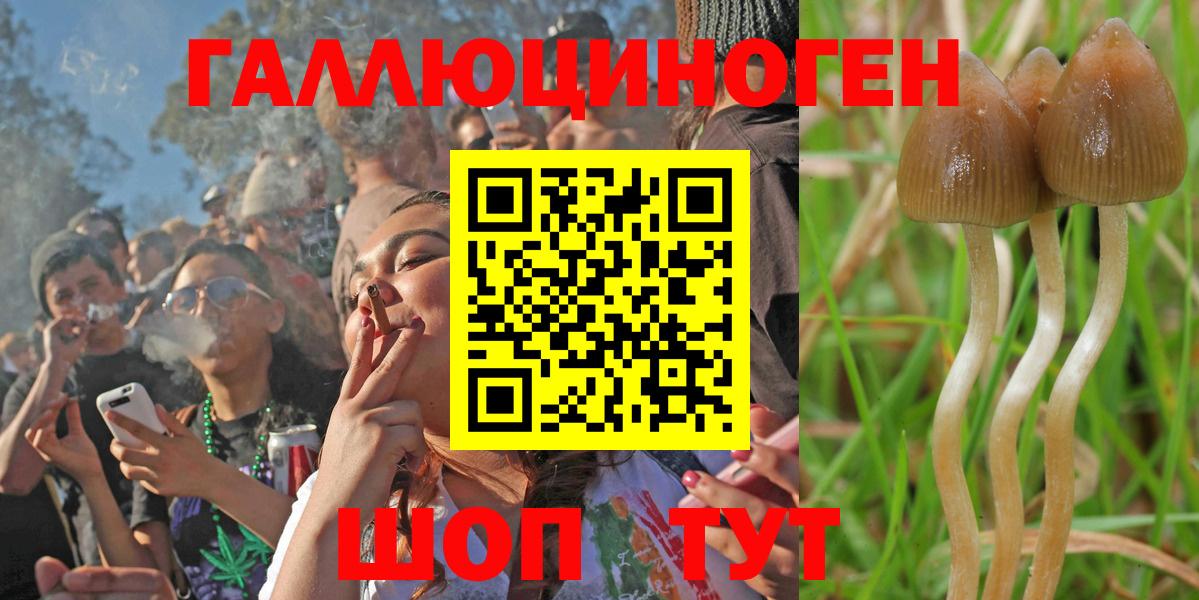 Галлюциногенные грибы мицелий  Вход с VPN  Знаменск 